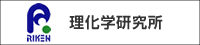 理化学研究所